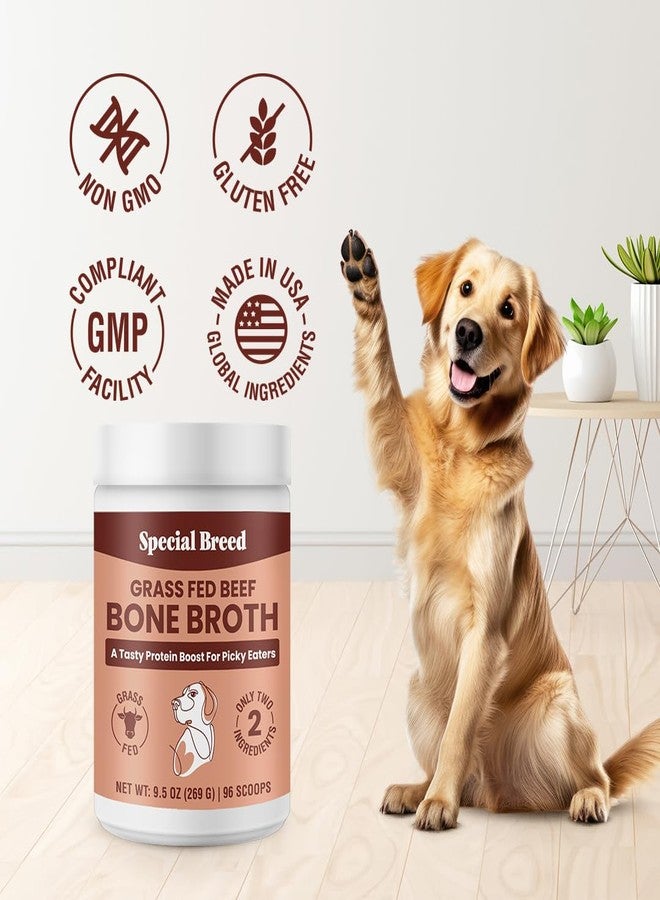 Special Breed Bone Broth Powder for Dogs and Cats - Dog and Cat Food Topper, Grass Fed Beef Broth Supplement, 9.5 oz - Image 4